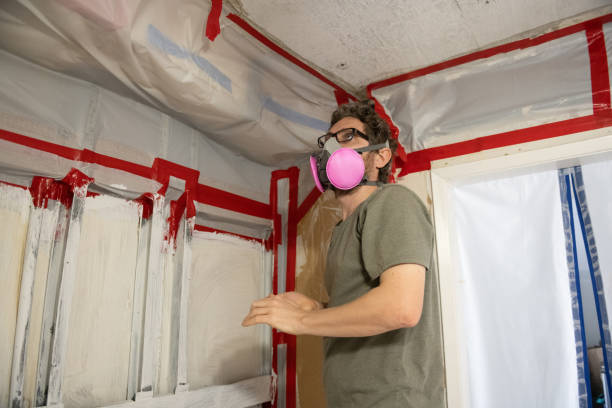Best Commercial Mold Inspection  in Fruit Heights, UT