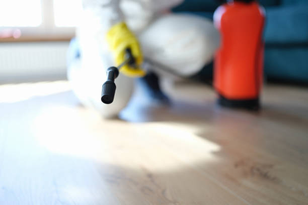 Best Asbestos and Lead Testing During Mold Inspection  in Fruit Heights, UT