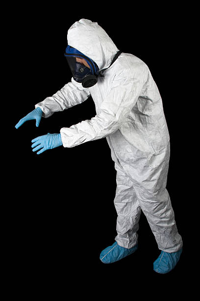 Best Water Damage & Mold Remediation  in Fruit Heights, UT