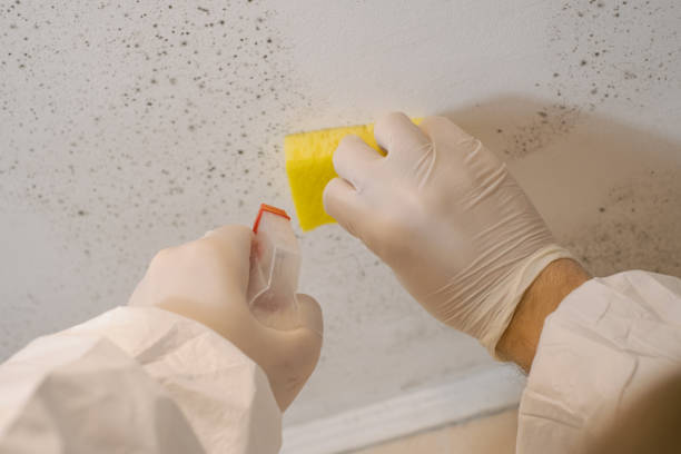 Best Indoor Air Quality Assessment  in Fruit Heights, UT