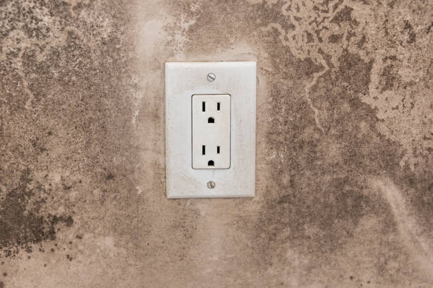 Best Forensic Mold Investigation  in Fruit Heights, UT